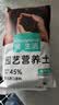 漫生活进口营养土3L通用有机种菜土养花土园艺绿植花卉绿萝盆栽基质土壤 实拍图