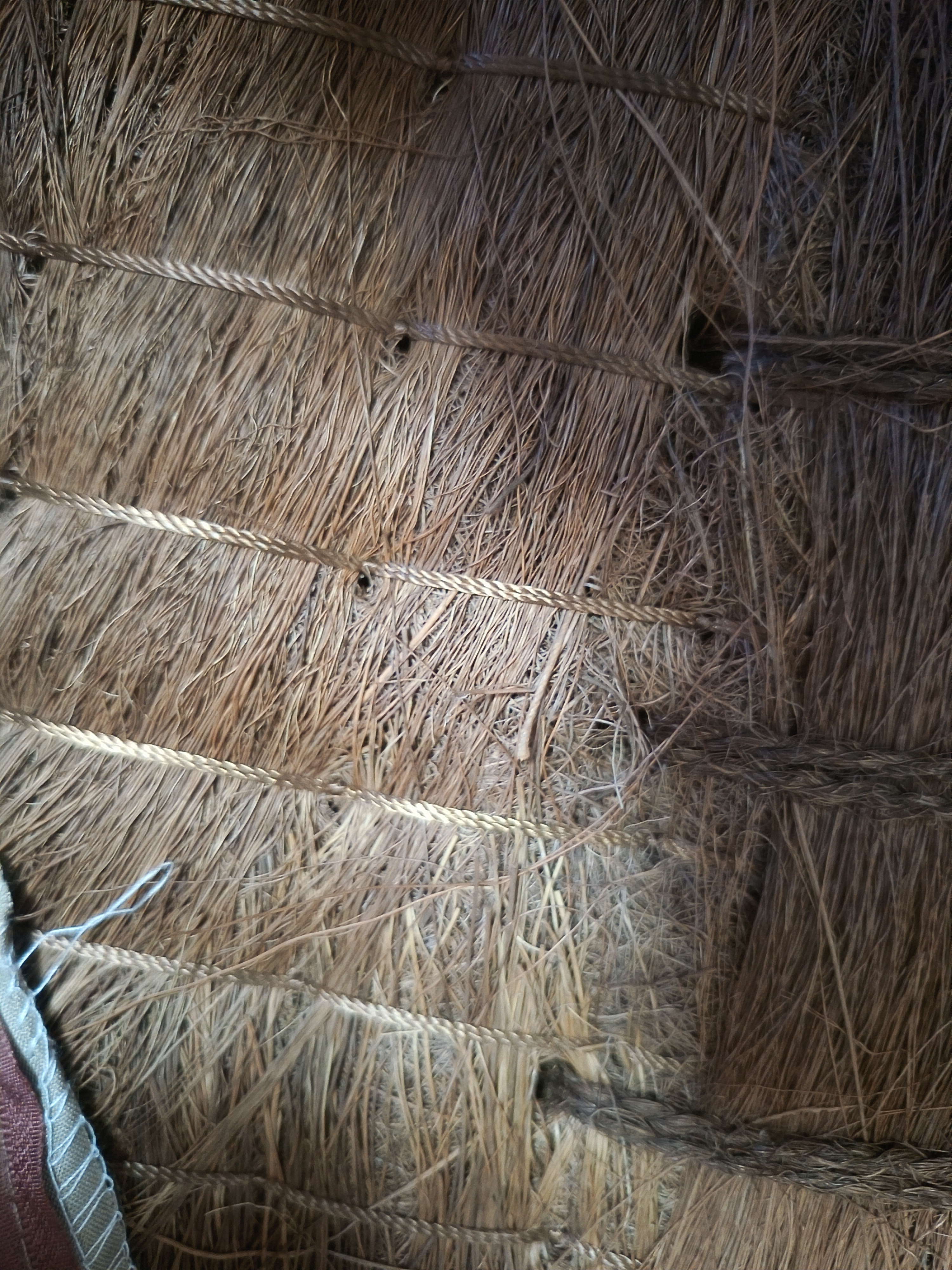 老编工 天然山棕床垫棕垫手工线缝硬棕榈床垫子薄款榻榻米垫定制 (6cm总厚度)手工纯线缝棕芯+纯棉面料 120cm*200cm 实拍图