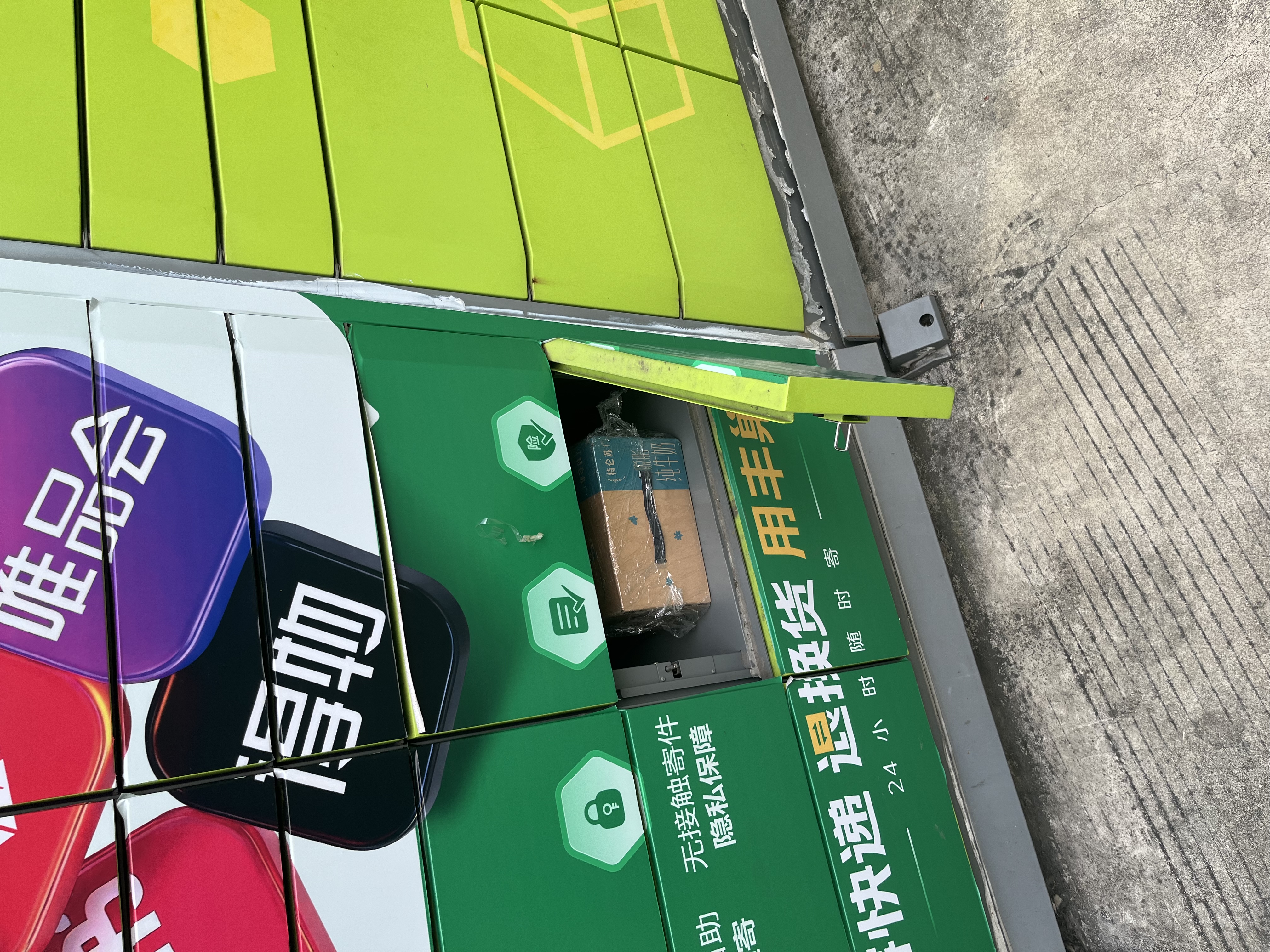 蒙牛特仑苏脱脂纯牛奶250ml*16盒 3.6g蛋白 健身减脂 送礼礼盒 实拍图