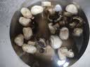 有机白蘑菇230g 实拍图