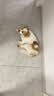 财咪宠物驱虫药猫咪询医狗狗体内外同驱一体幼犬非泼罗尼滴剂阿苯达唑 实拍图