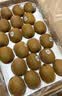 佳沛（zespri）绿奇异果 优选大果12粒单果约115-135g  水果 猕猴桃 实拍图