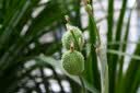 尼康（Nikon）Z30 16-50mm f/3.5-6.3VR 【国家补贴】 微单套机 自拍模式 入门级微单 实拍图
