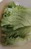 【烧烤季】钟灵山罗马生菜400g 实拍图