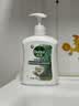 滴露（Dettol）洗手液松木500g瓶 健康抑菌消毒非补充装 儿童家庭用清爽去油 实拍图