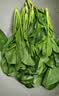 【24小时菜】菠菜苗250g(长度≤20cm) 实拍图