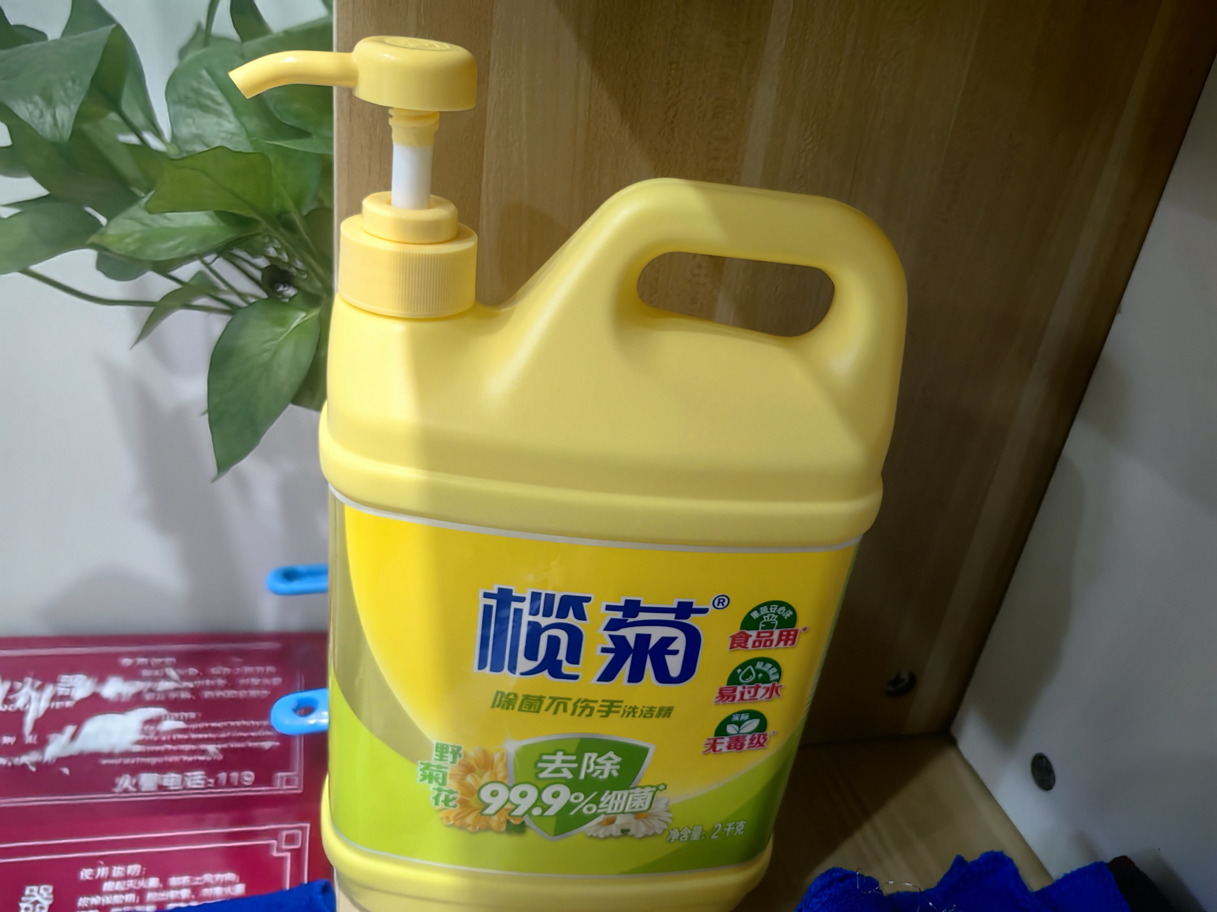 榄菊除菌洗洁精2kg 野菊花香型家用去油污不伤手食品用级别洗涤灵 实拍图