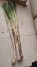 【东东农场专供】新鲜山东铁杆大葱脆嫩多汁绿色蔬菜生鲜超市批发 带老皮去半叶含箱重1斤净重0.8斤 实拍图