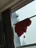 巴拉巴拉童装婴儿连体衣轻薄羽绒服宝宝衣服冬装抱衣爬服男童女童萌趣可爱 实拍图
