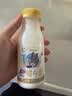 每日鲜语鲜牛奶 A2β-酪蛋白鲜牛奶185ml*6 巴氏杀菌乳 低温鲜奶 实拍图
