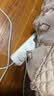 Apple/苹果 原装正品20W type-c充电器 苹果usb-c充电器手机快充头 旗舰店苹果iPhone 18 Pro Max充电器 实拍图