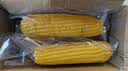 京鲜生东北黄糯玉米300g*8棒 甜黏玉米低脂早餐代餐粗粮真空装 源头直发 实拍图