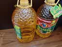 多力压榨玉米油6.18L非转基因食用油（新老包装随机发货） 实拍图