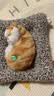 亦趣仿真猫玩偶会叫小猫咪毛绒玩具摆件可爱猫咪公仔女孩儿童生日礼物 会叫橘花猫咪+毛绒垫子 实拍图