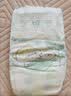 帮宝适新清新帮纸尿裤S60【超薄超能吸】透气干爽新生儿婴儿尿不湿尿裤 实拍图