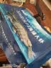 北海湾 虾 青岛海鲜大虾国产鲜活冷冻基围虾虾类水产生鲜白虾青虾海对虾 单冻大虾 3斤(净重)  15-17cm【单只冻 新货】 实拍图