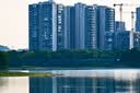 尼康（Nikon）Z30双镜头套装16-50mm+50-250mm 【国家补贴】 微单套机 轻巧便携 自拍模式 实拍图