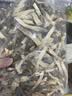 京鲜生福建鹿茸菇干货净重1000g 当季新货脆嫩爽口源头直发 实拍图