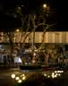 适马（SIGMA）56mm F1.4 DC DN｜Contemporary 半画幅大光圈定焦镜头 人像特写（适马56 f1.4索尼E卡口） 实拍图