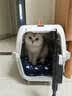 腆宠宠物航空箱小号 猫咪航空箱猫狗 猫包猫笼外出车载猫箱狗狗托运 实拍图