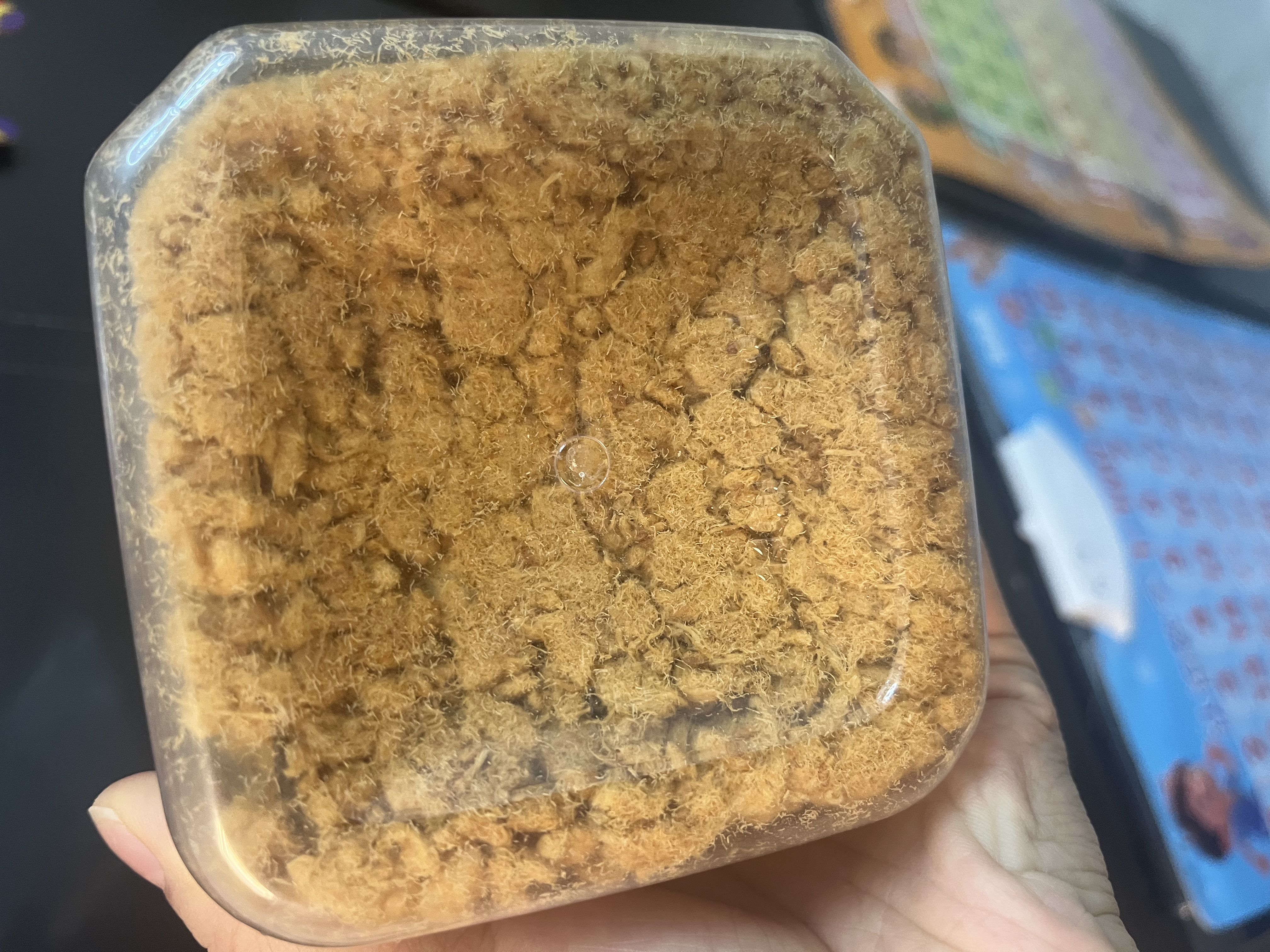 良品铺子原味猪肉松300g 无添加剂寿司烘焙肉松 儿童孕妇老人拌饭零食 实拍图