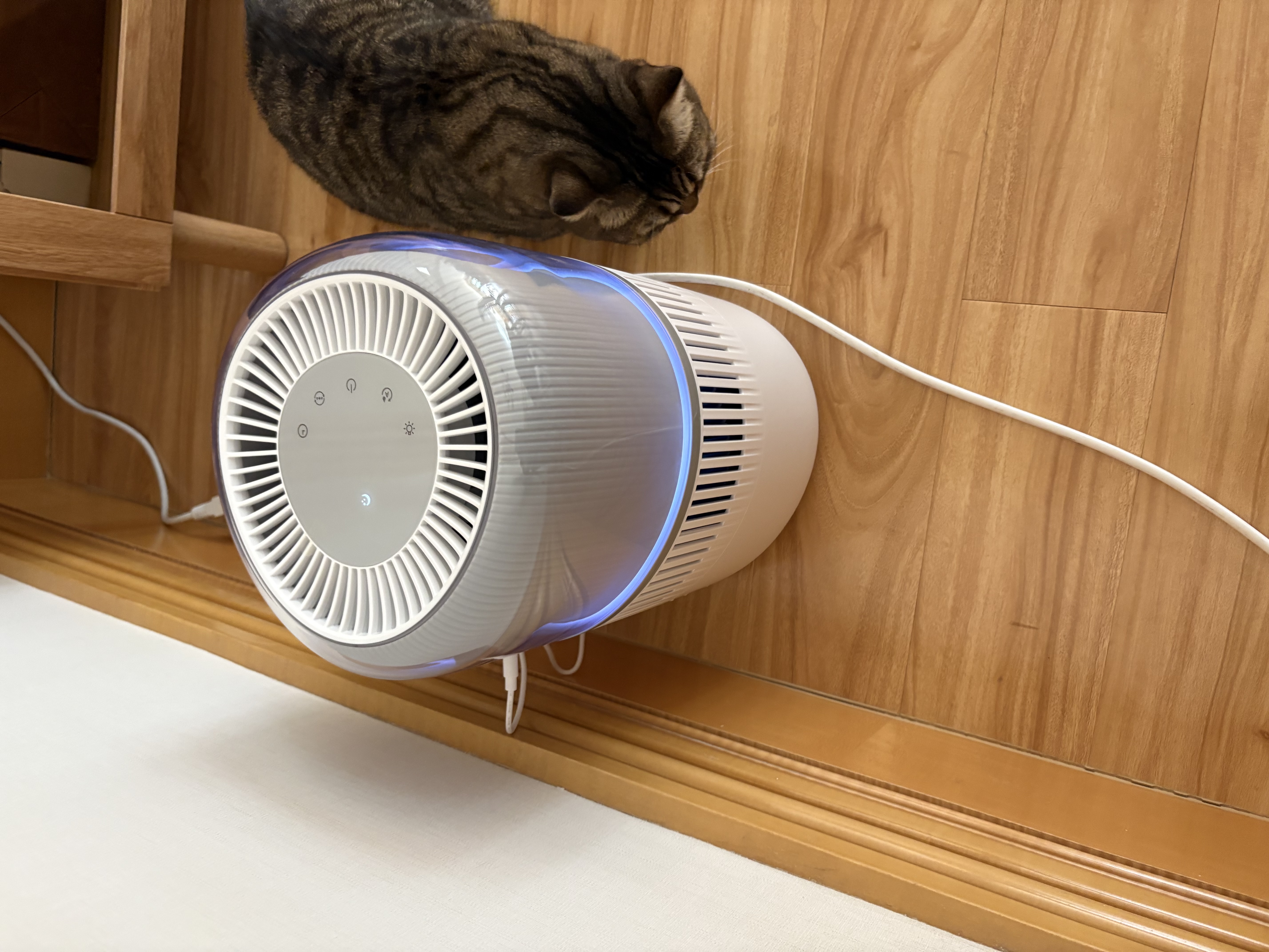 飞利浦（PHILIPS）加湿器家用卧室母婴专用静音除菌无雾空调加湿机鼻炎孕妇婴幼儿桌面大容量HU5710/10礼物 实拍图