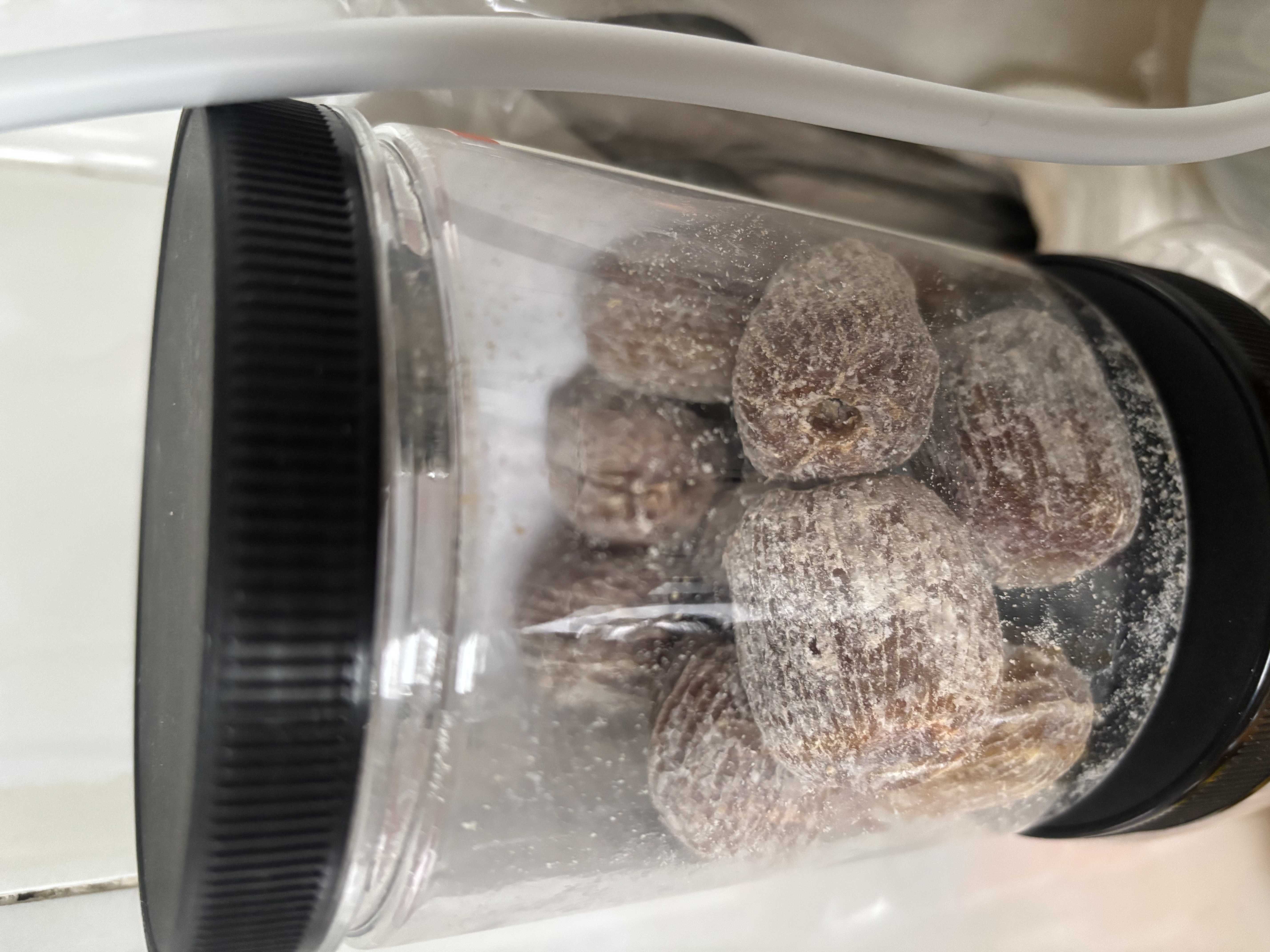 鲜窝窝 去核蜜枣420g 即食煲汤煮粥包粽子八宝饭金丝蜜枣罐装休闲零食 实拍图