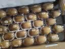 佳沛（zespri）金奇异果25-27粒原箱特大果124-146g猕猴桃水果礼盒 实拍图