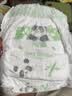 奇莫（Q-MO）皇家至柔拉拉裤4XL32片(≥20kg)弹力裤超薄透气能吸 实拍图