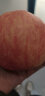 正宗烟台红富士苹果脆甜【精选】采摘一级美味新鲜水果产脆甜多汁时令生鲜甘甜口感 脆甜美味红富士苹果75mm-80mm 1个 实拍图
