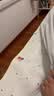 彩虹【高温断电】双人定时双温双控除螨无纺布电热毯电褥子2.0*1.8米 实拍图