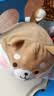 名创优品（MINISO）趣味阿柴柴犬小狗玩偶抱枕毛绒娃娃学生午睡枕沙发靠枕生日礼物 实拍图