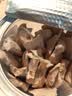 WEYES冻干鸭小胸80g桶装宠物猫咪狗狗宠物零食肉干营养助力适口性好 实拍图