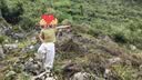 京东京造 儿童户外登山杖 铝合金伸缩安全轻量亲子爬山徒步防滑手杖 红色 实拍图