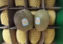 佳沛（zespri）新西兰金奇异果12粒特大果124-146g猕猴桃水果礼盒 实拍图