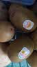 佳沛（zespri）新西兰金奇异果猕猴桃 5粒装 单果约88-103g 水果源头直发 实拍图