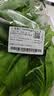 上海青约500g(油菜) 实拍图