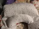 BabyWatch孕妇枕头护腰侧睡枕托腹U型孕期适用睡觉抱枕侧卧枕礼物 实拍图