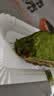 鲜京采抹茶生巧乳酪大饼4寸250g 浓郁抹茶零食蛋糕下午茶 实拍图