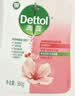 滴露（Dettol）健康抑菌洗手液滋润倍护500g 消毒抑菌99.99% 儿童适用不含酒精 实拍图