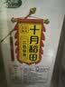 十月稻田 三色藜麦 480g 全谷物粗粮 白黑红藜麦 轻食沙拉 糙米饭高蛋白质 实拍图