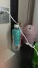 红牛瞬湃乐SPONSOR维生素电解质饮料 500ml*15瓶 椰子菠萝味电解质水 实拍图