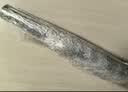 金隆兴窗户防晒隔热膜阳台玻璃遮阳单向透视防窥隐私膜贴纸半遮光0.6*2m 实拍图