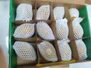 佳沛（zespri）新西兰金奇异果12粒特大果124-146g猕猴桃水果礼盒 实拍图