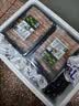 潮夫道原切羔羊羊肉卷400g羊肉片涮肉火锅食材麻辣烫烧烤 实拍图