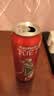 瓦伦丁（Wurenbacher）德国进口烈性啤酒15.3°P 500ml*24听精酿啤酒整箱装 浓烈劲爽 实拍图