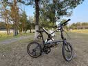 大行（DAHON）P8折叠自行车20英寸8级变速单车KBC083 消光灰经典版--京仓 实拍图