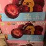 蒙牛真果粒牛奶饮品东魁杨梅味含乳饮料250g×12盒 卡皮巴拉礼盒 实拍图