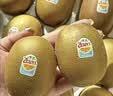 佳沛（zespri）新西兰金奇异果8粒特大果124-146g猕猴桃水果礼盒 实拍图