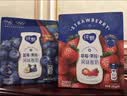 蒙牛纯甄「蓝莓果粒」风味酸奶200g*10盒 早餐奶酸牛奶 送礼礼盒 实拍图
